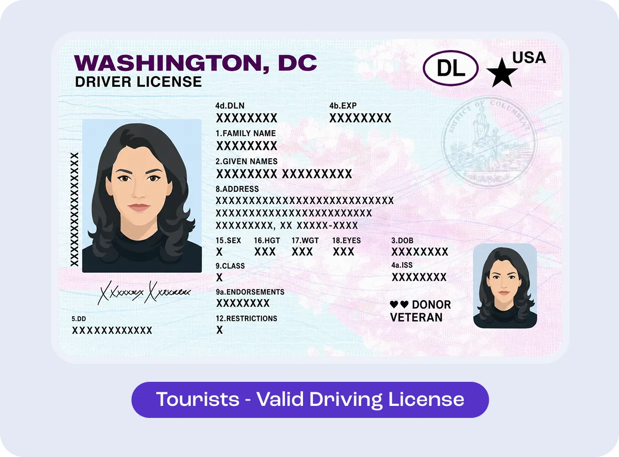 Tourist driving license example